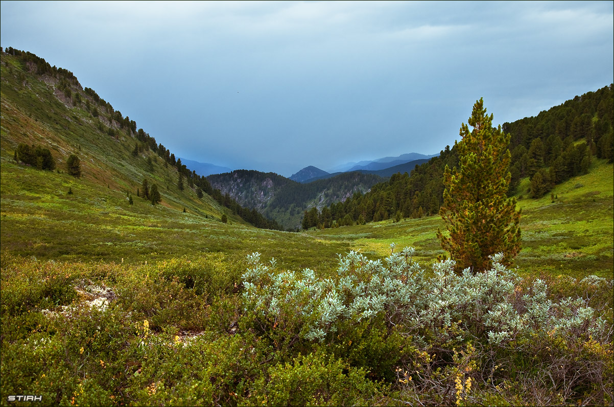 Алтайский край фото